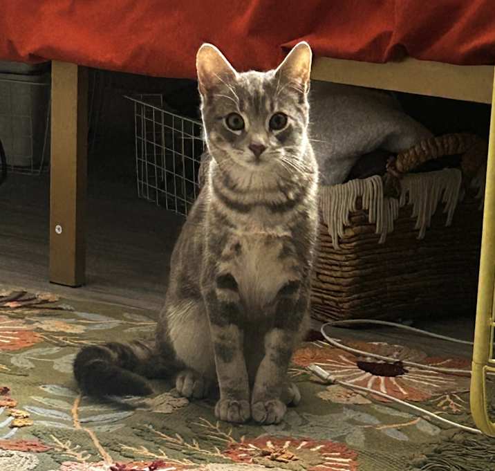 Photo of Carmine