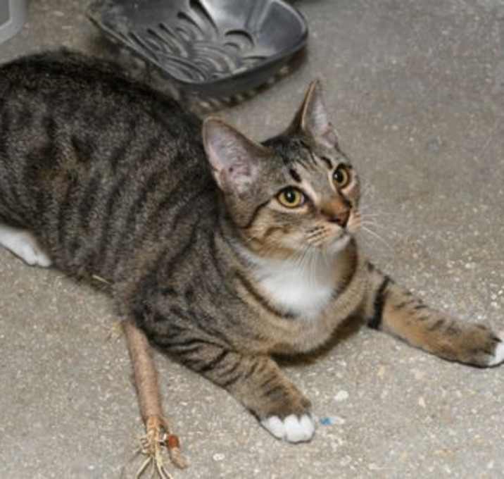 Photo of Harold
