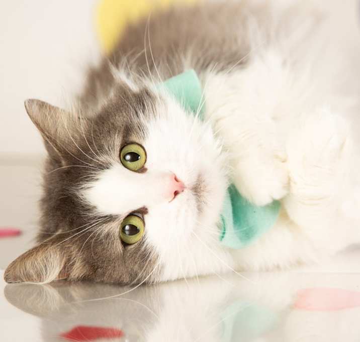 Photo of Sawyer