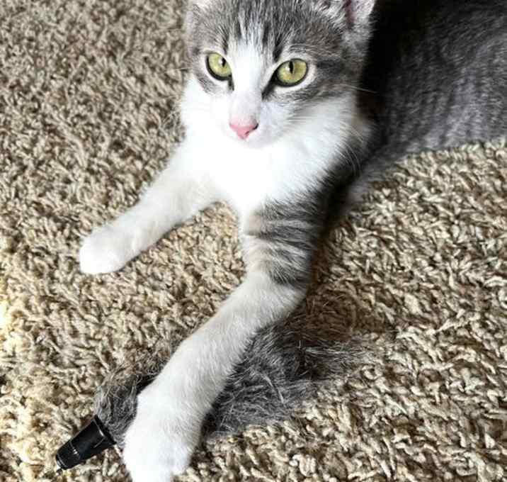 Photo of Sylvie