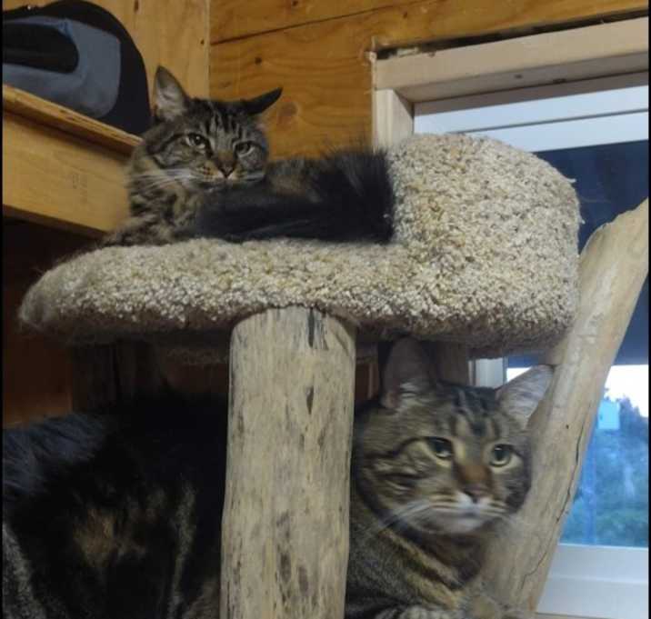 Photo of Hugo and Leo