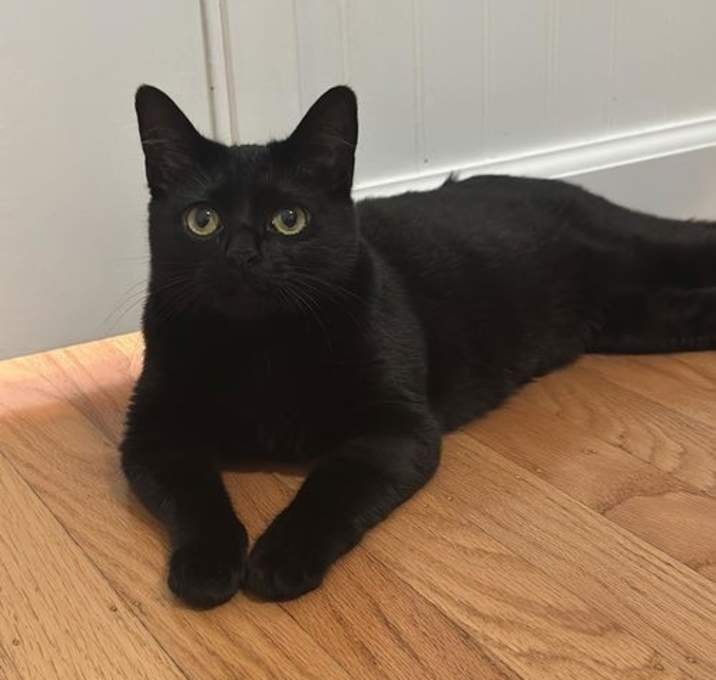 Photo of Betty