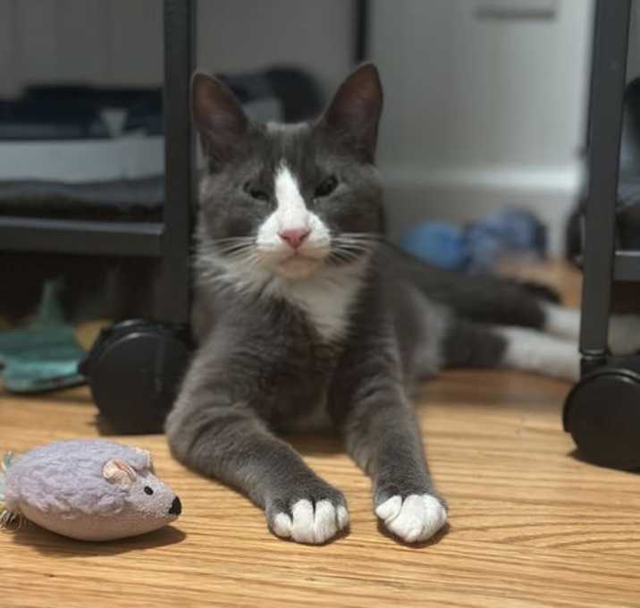 Photo of Carl