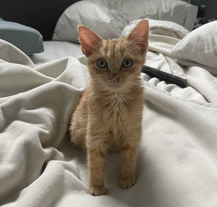 Photo of Galinda