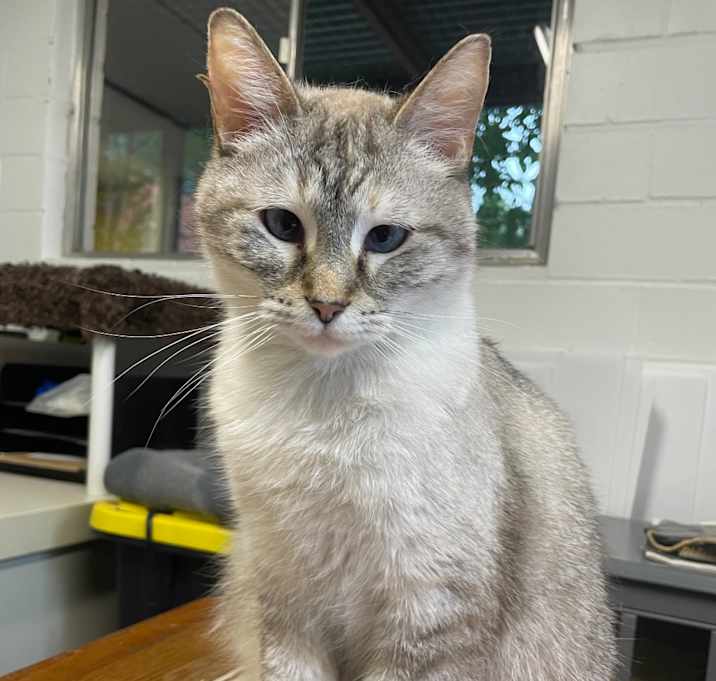 Photo of Fifi