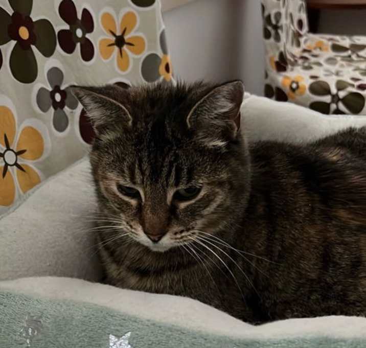 Photo of DAISY