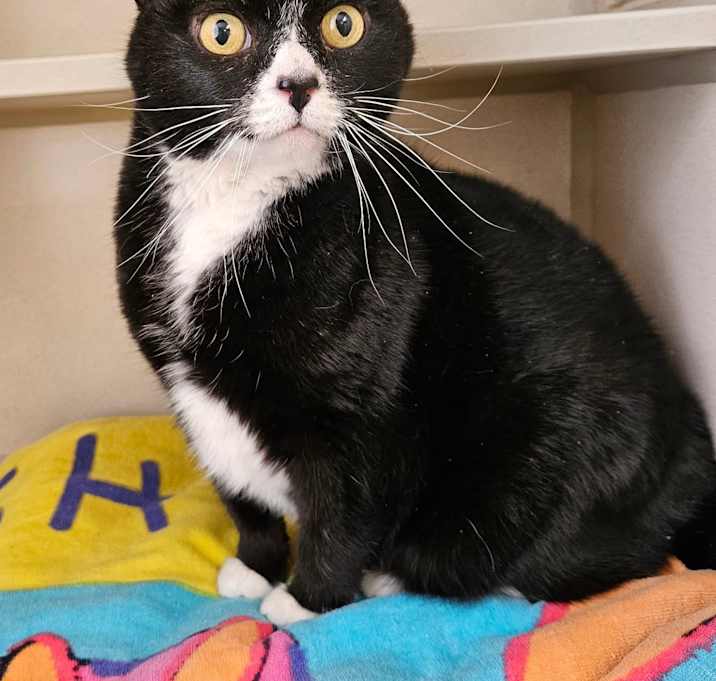 Photo of Maggie