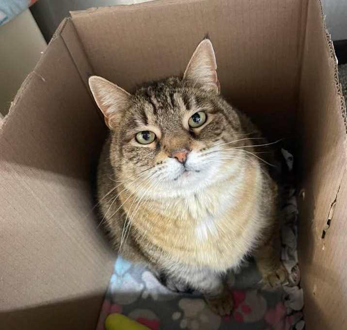 Photo of Diva