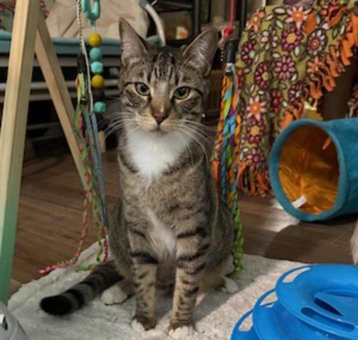 Photo of Leo