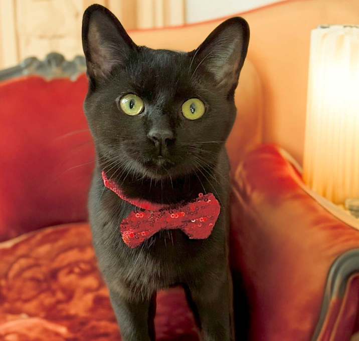 Photo of Luther
