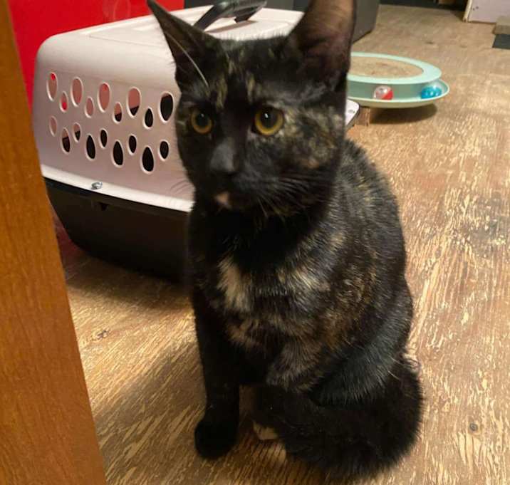 Photo of Bonnie