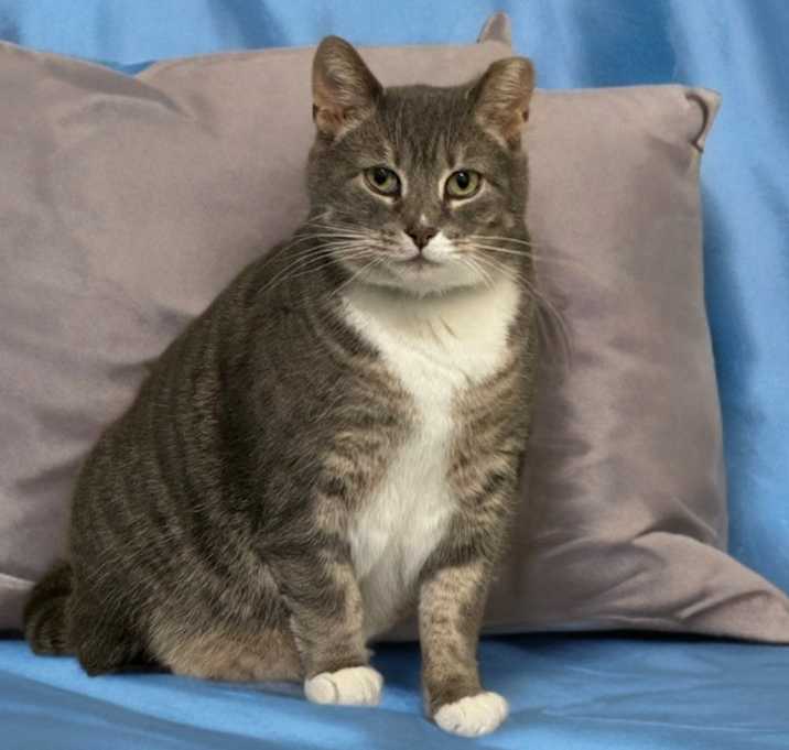 Photo of Buddy
