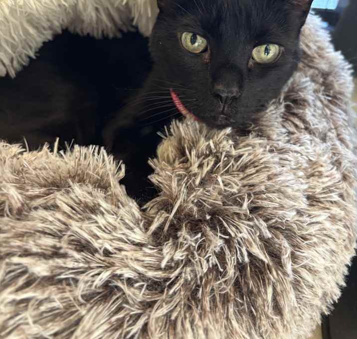 Photo of Stormy