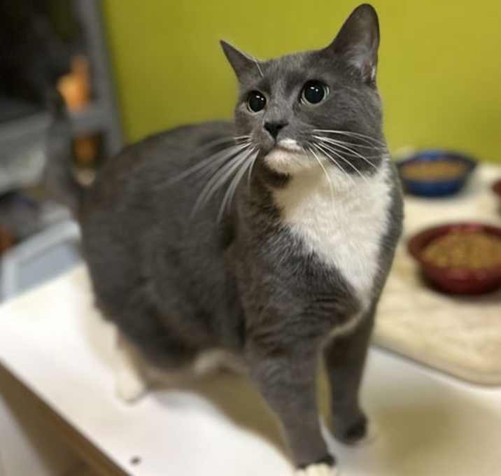 Photo of Honey