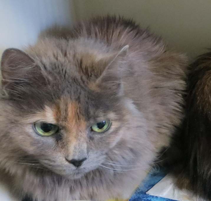 Photo of Missy & Tessa