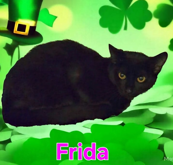 Photo of Frida
