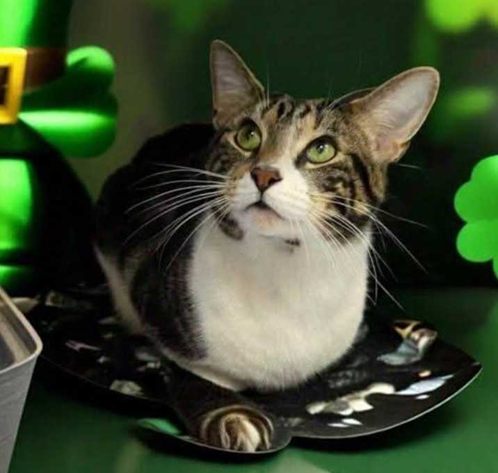 Photo of Tom
