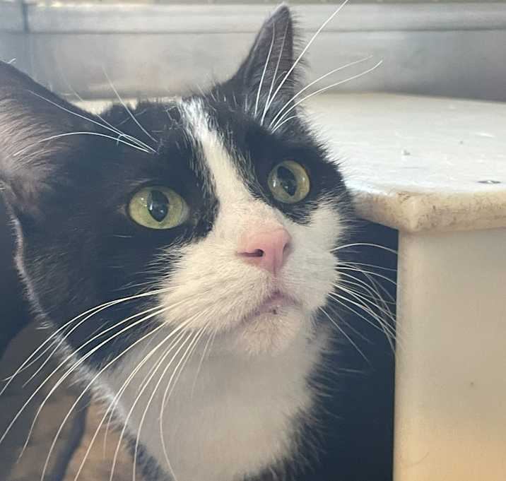 Photo of Tootie