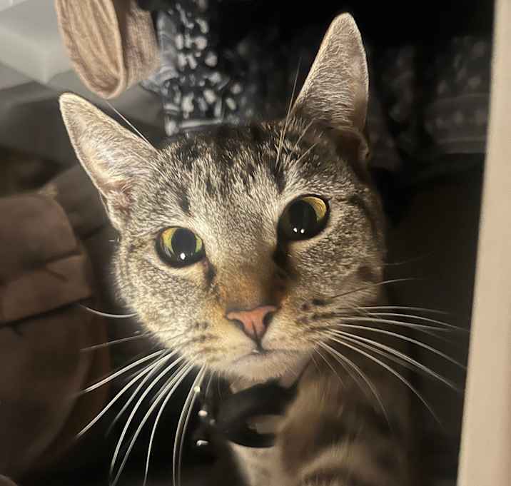 Photo of Sassy Girl