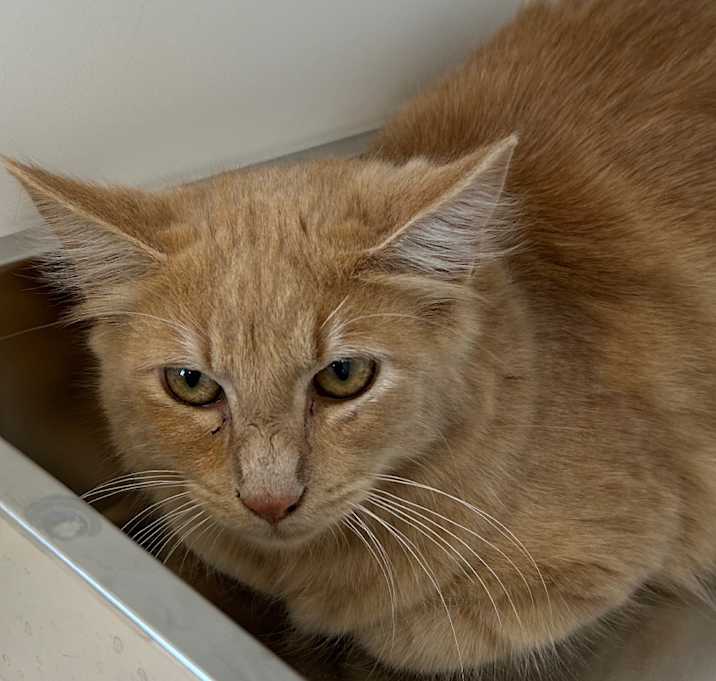 Photo of Juicy