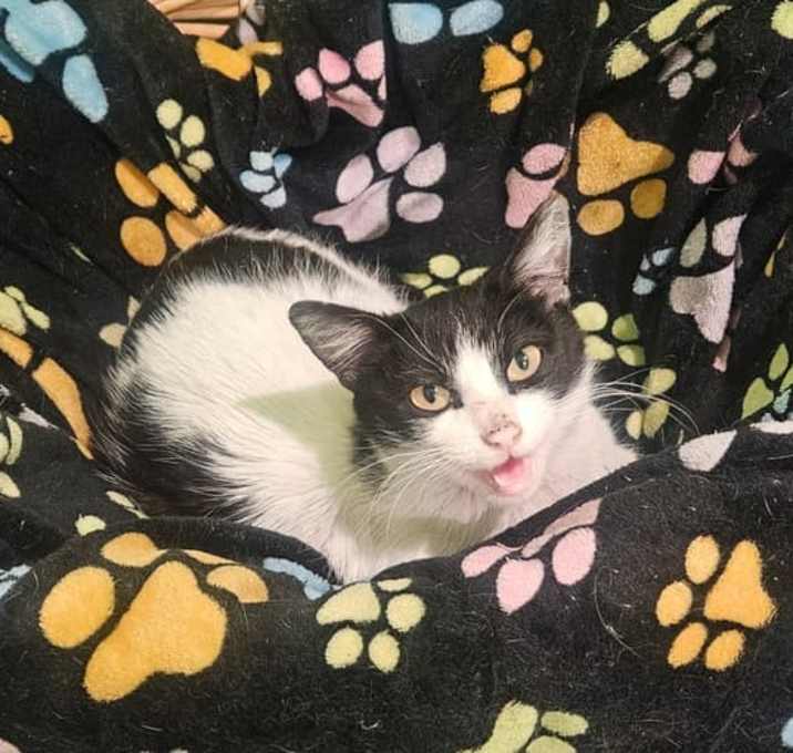 Photo of Dottie