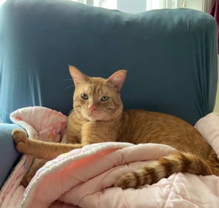 Photo of Ronald (with Chai)