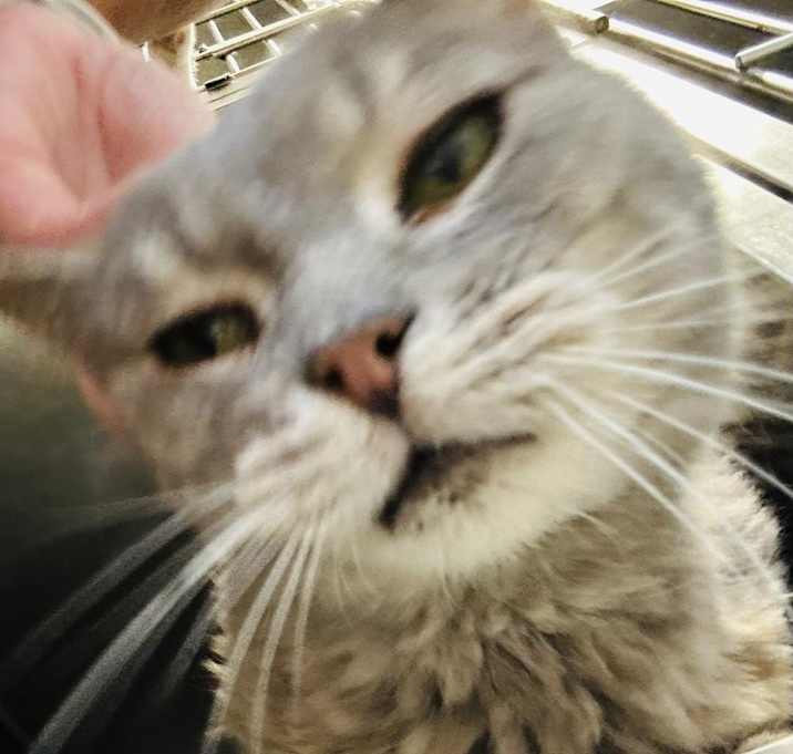 Photo of Cloudy