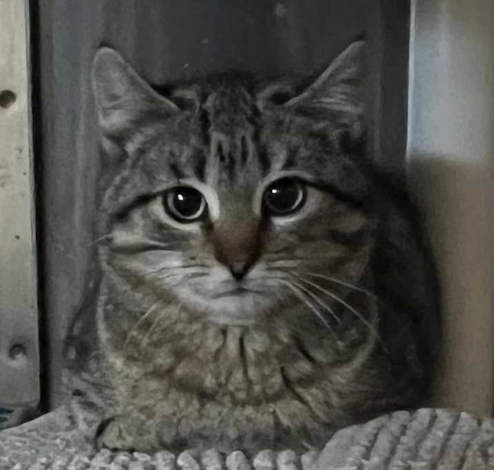 Photo of Jordan
