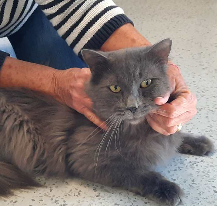 Photo of Jekyll