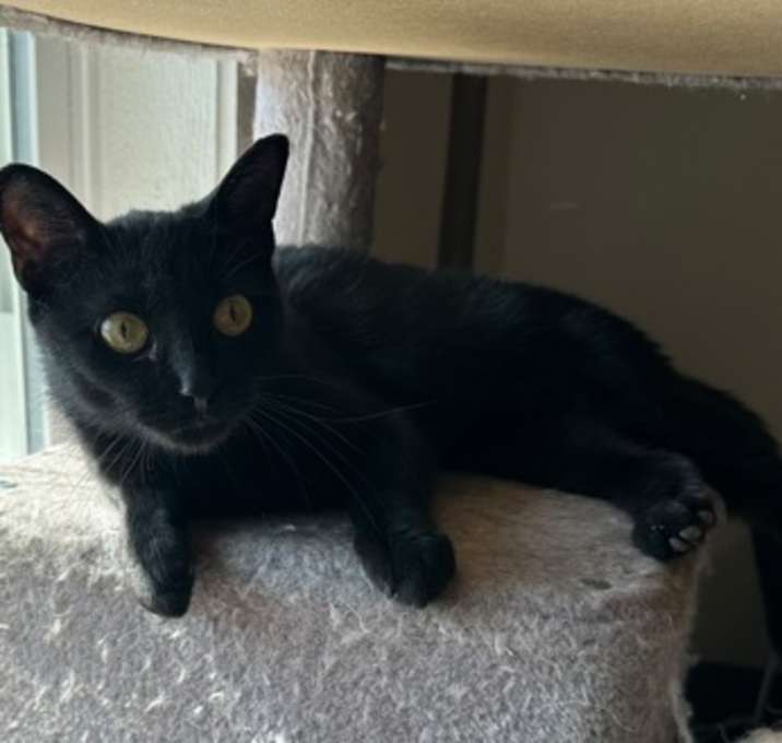 Photo of Lily