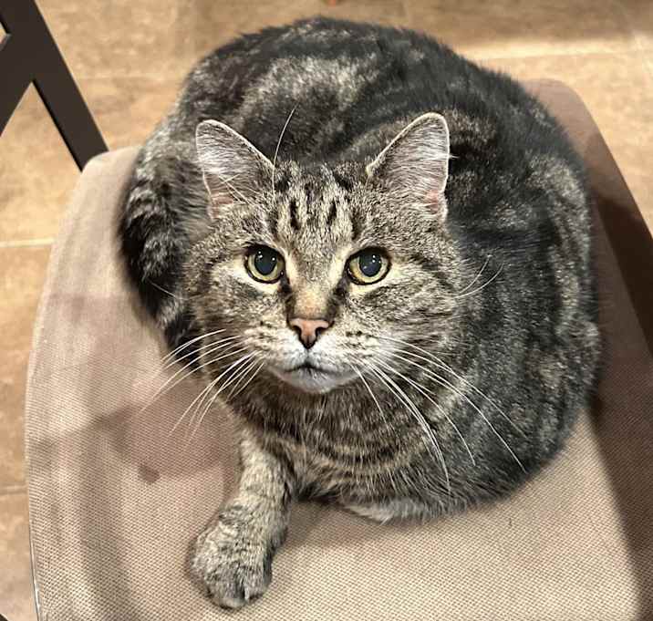 Photo of Linus