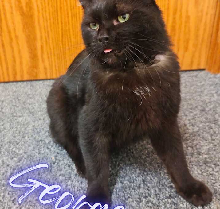 Photo of George