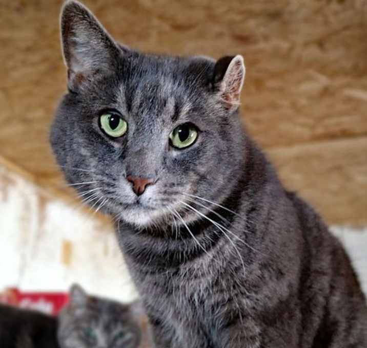 Photo of Barnaby