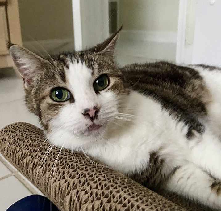 Photo of Peg AKA Peggy