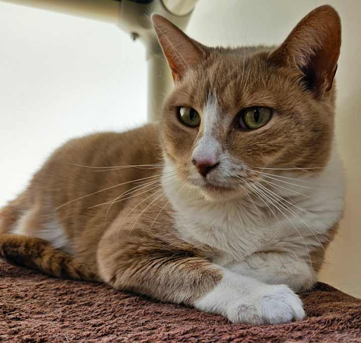 Photo of Liesl