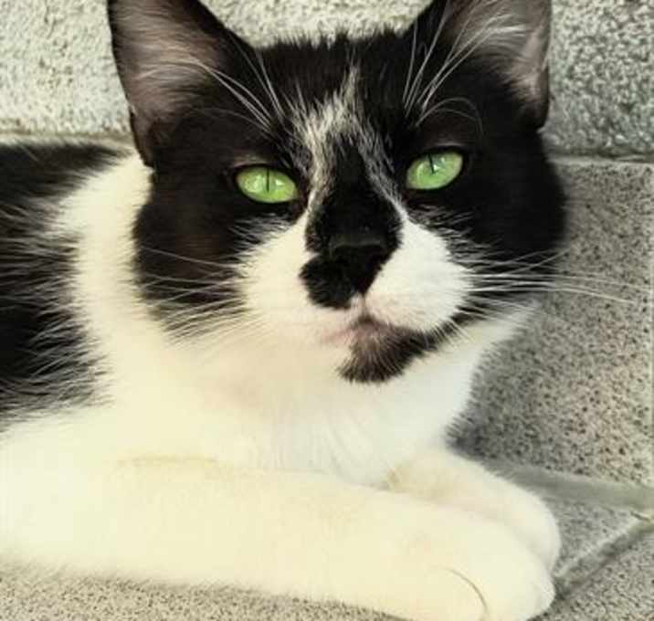 Photo of MACY