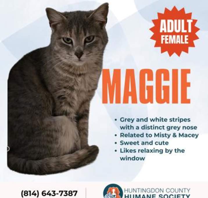 Photo of Maggie