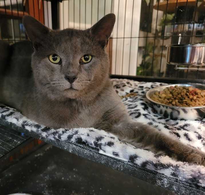 Photo of Miso (A0057908670)