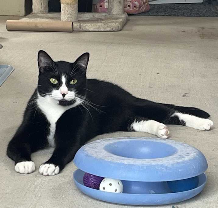 Photo of Jerry