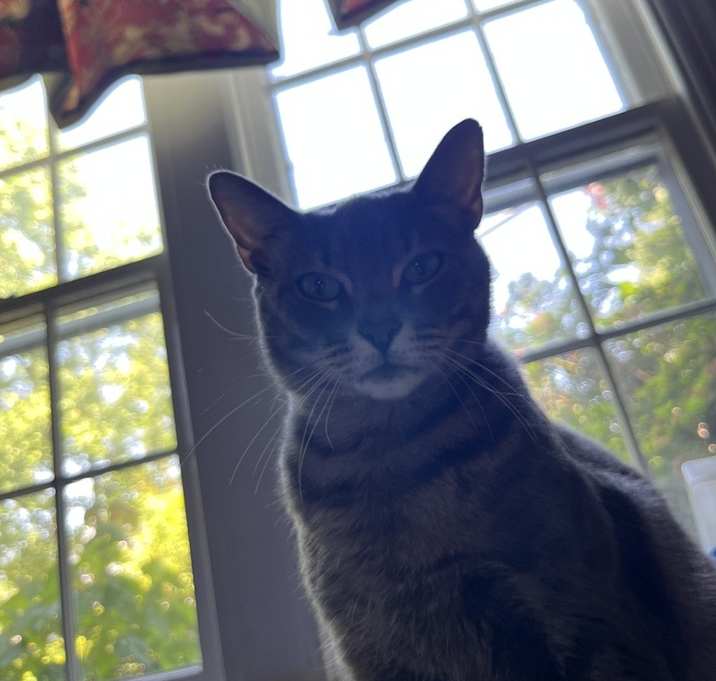 Photo of Girlfriend