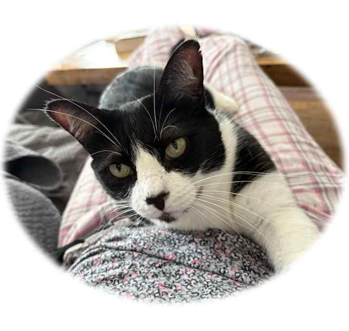 Photo of Betty