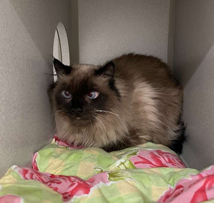 Photo of Stormy