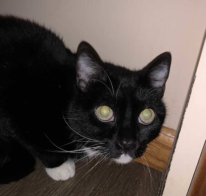 Photo of Milli