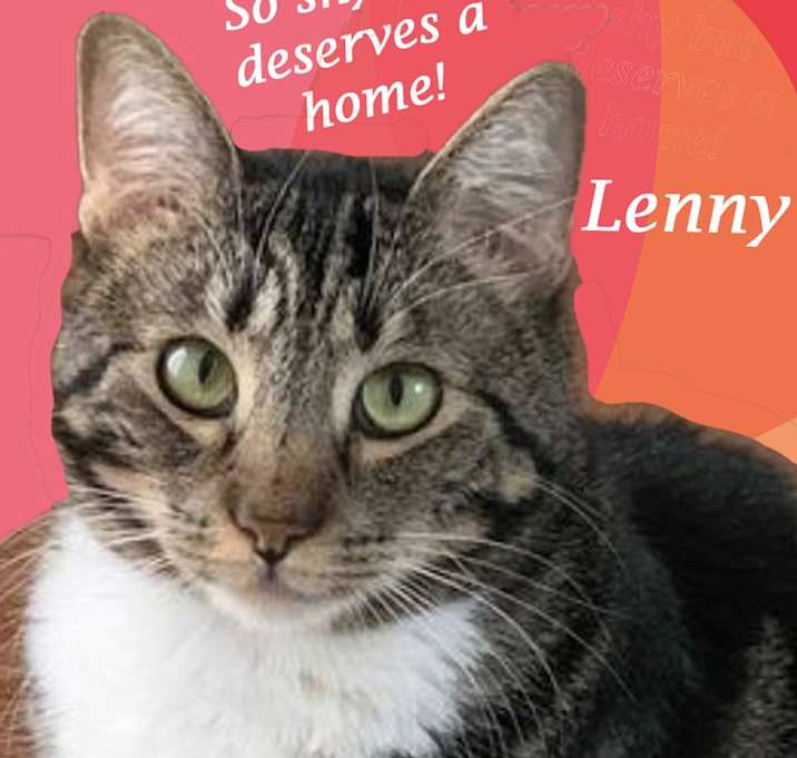 Photo of Lucky LENNY!