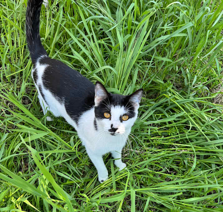Photo of Cleo