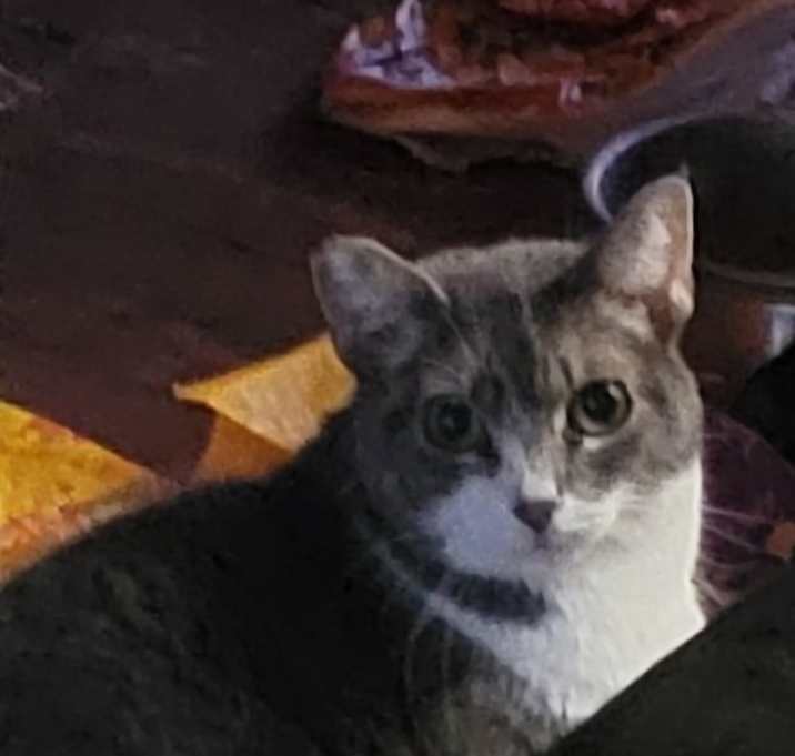 Photo of Kinzy