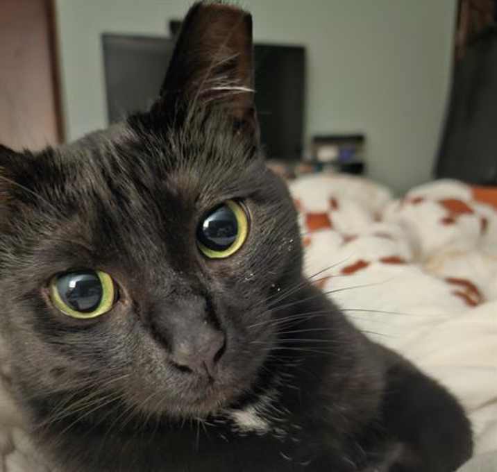 Photo of NOVA