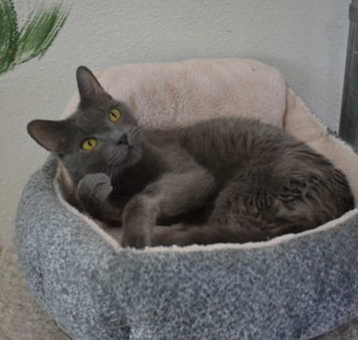 Photo of Blu - PF