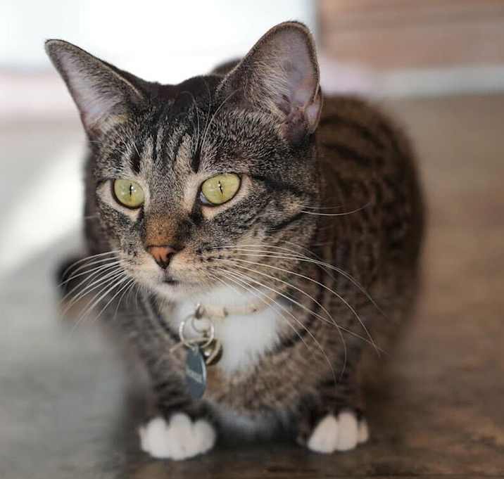 Photo of Twix