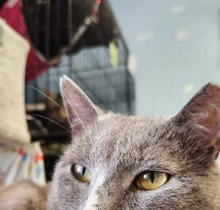 Photo of Ash
